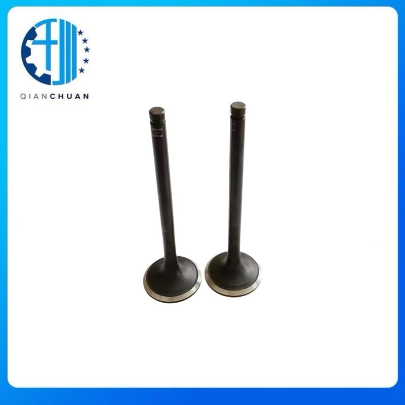 Exhaust Valve 6204414210 4982909 4982895 For B3.3 Excavator Engine Spare Parts